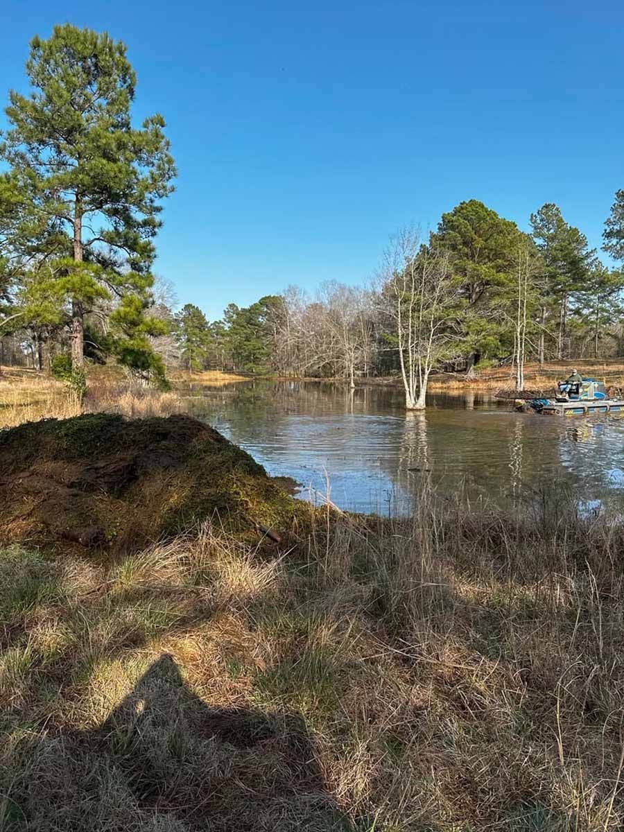 A sunny landscape with a pond surrounded by trees. A large pile of mulch sits in the foreground.