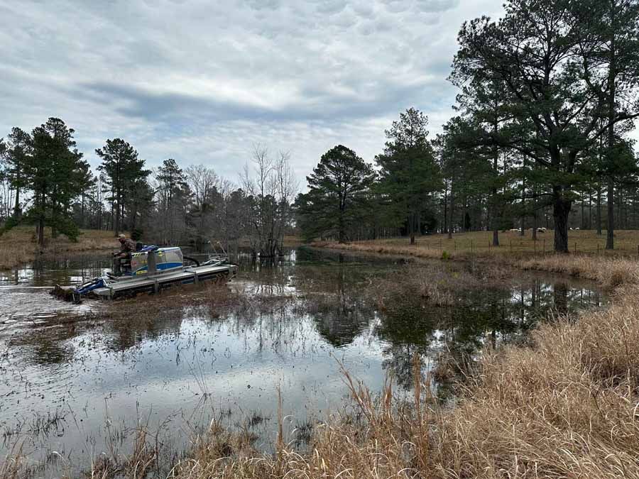 A person on a small boat on a pond, surrounded by trees and tall grasses. Cloudy sky.