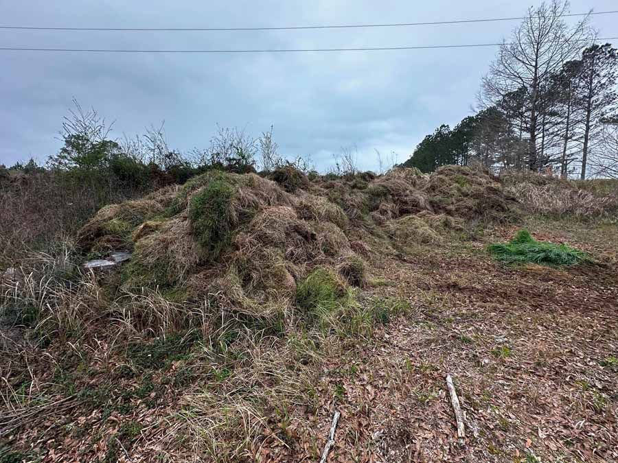 Pile of brown and green brush in an outdoor setting with trees and a cloudy sky.