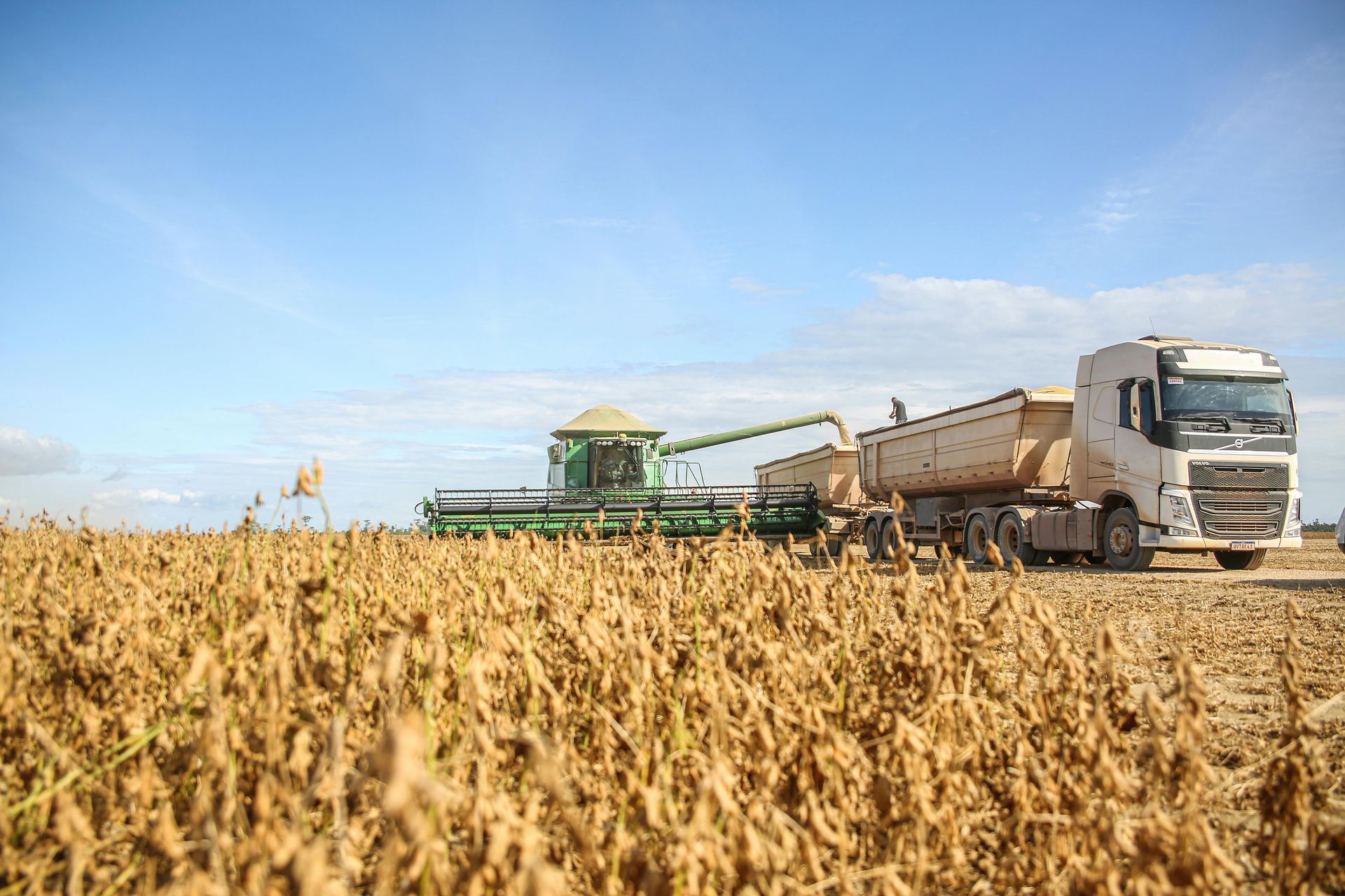 trailer truck in a soybean field