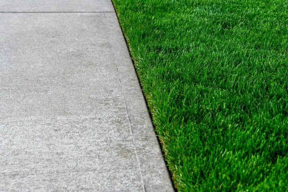 lawn trimming and edging 