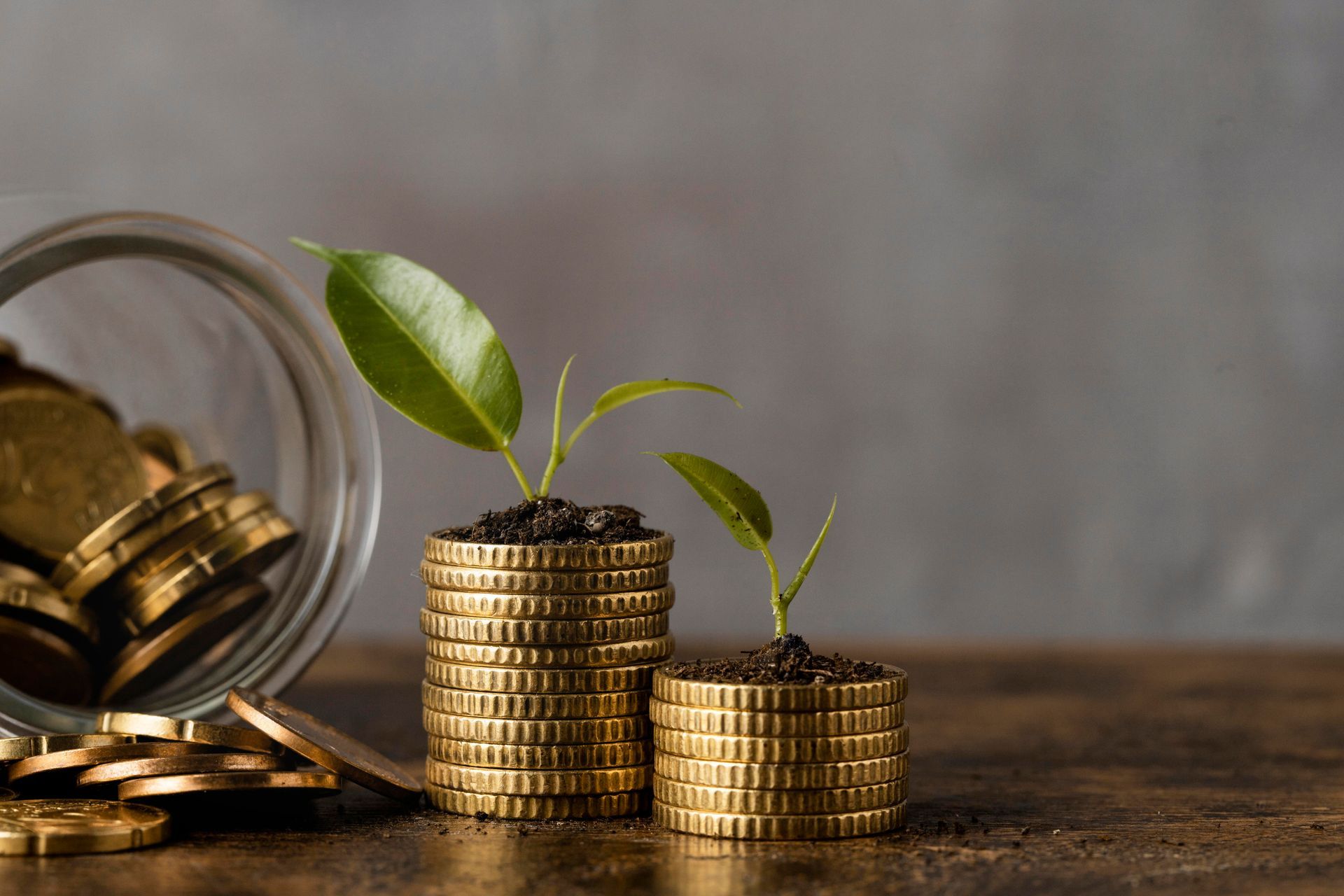 A stack of coins with a plant growing out of them.