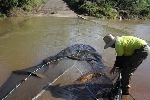Individual fishing in water