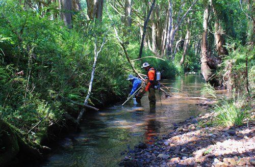 Couple fishing in water