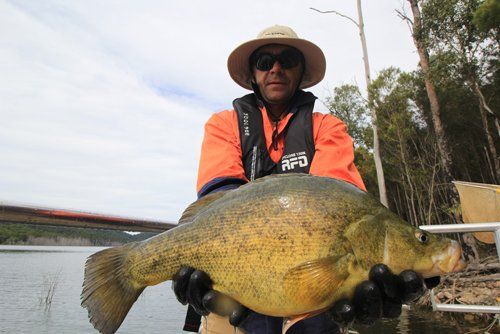 Individual holding a fish catch