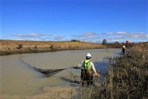 Individual fishing in water