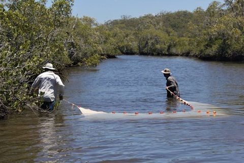 Individual fishing in lake