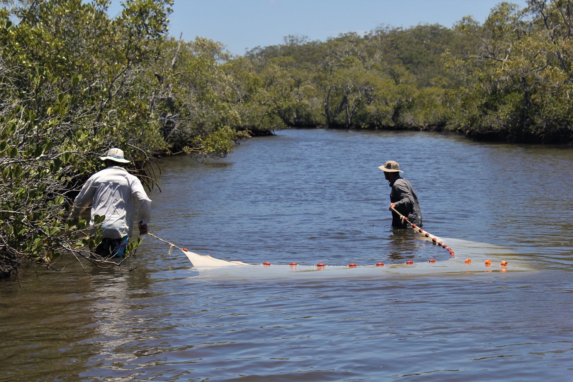 Fisheries projects in Queensland