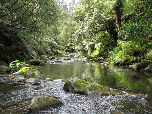 River Health Investigations