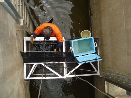 Individual climbing down the ladder