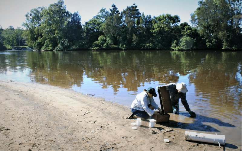 Threatened Fish Research