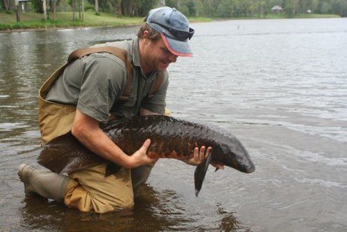 Fresh water fish catch