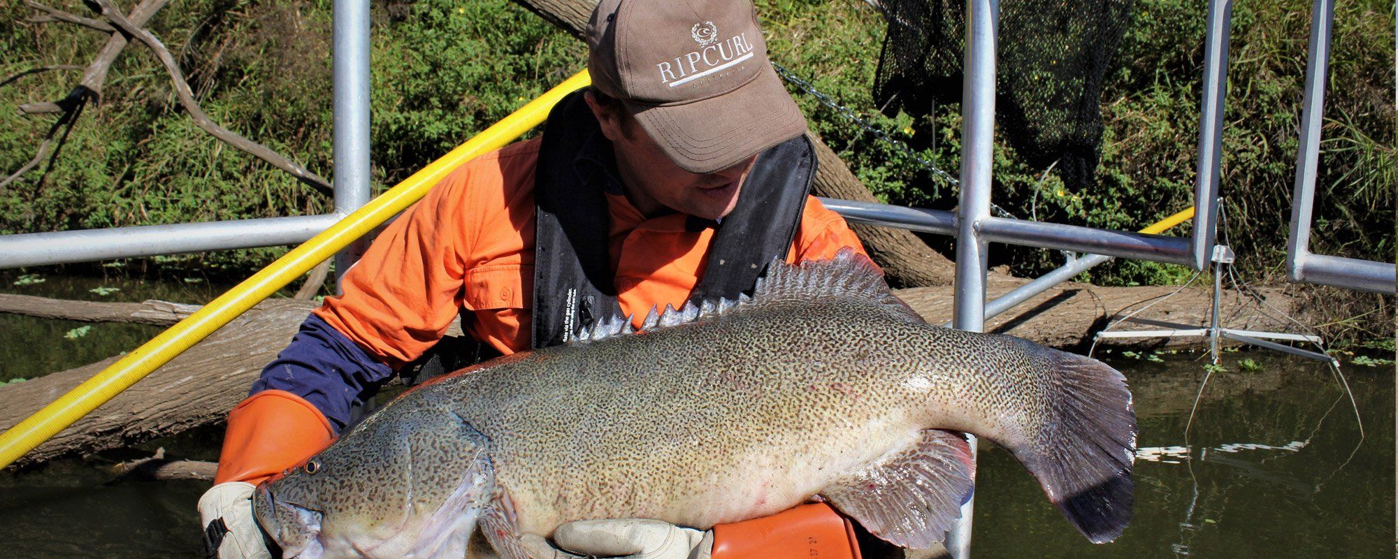 Individual holding his fish catch