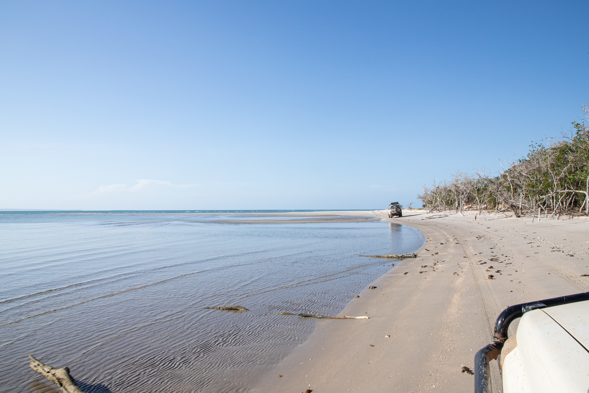 Sandy beach with shallow water, a vehicle driving on the sand, trees on the right, and a clear blue sky.