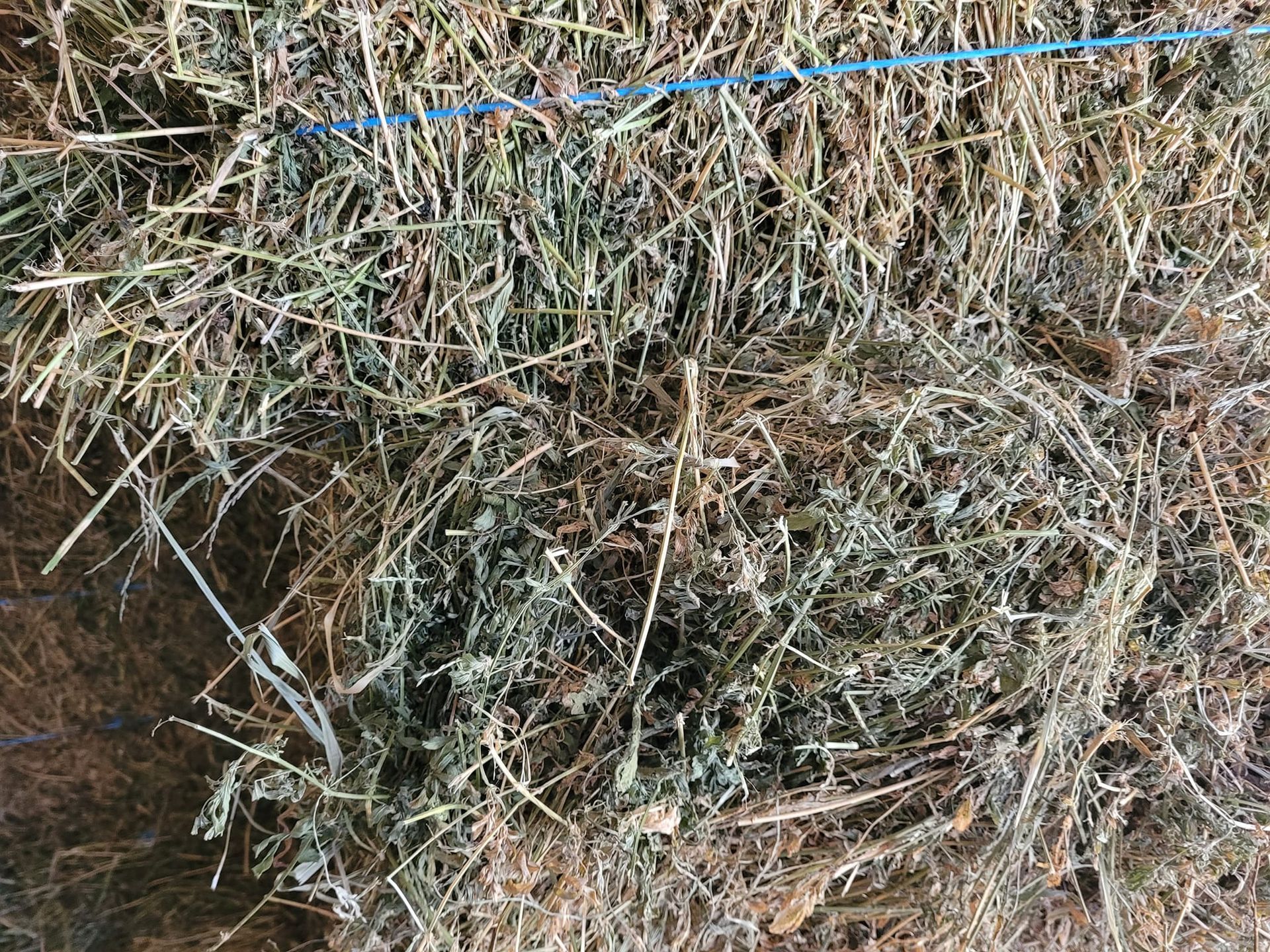 A close up of a bale of hay with a blue rope.