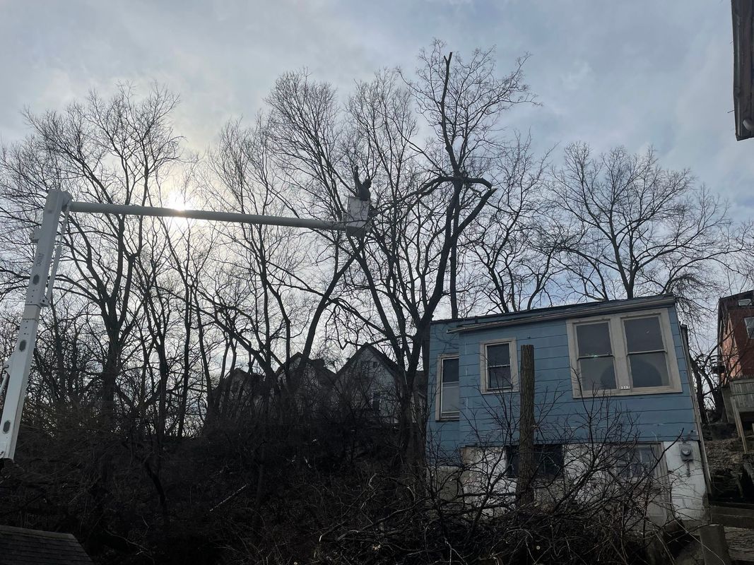 A utility truck with an elevated bucket working on trees near a blue house under a cloudy sky.