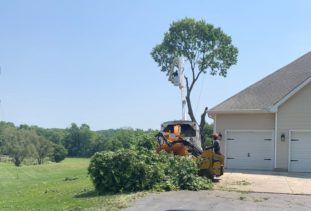 An arborist in a bucket truck trims branches of a tall tree next to a house, while a worker operates a wood chipper below.