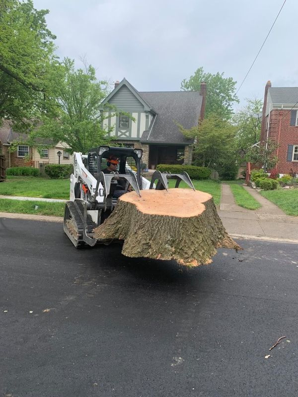 A skid-steer loader with a grapple attachment carries a large, heavy tree stump down a suburban residential street.