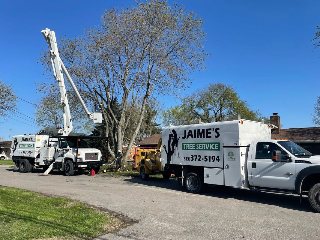 Two Jaime's Tree Service trucks are parked on a street near a tree, one with an extended bucket lift.