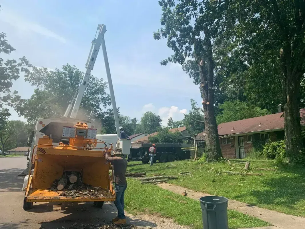 A person operates a yellow wood chipper parked on a street near a house where trees are being pruned by a crane.