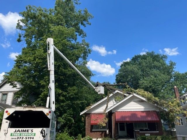 A tree service bucket truck parked in front of a brick house with a fallen tree limb resting on its roof.