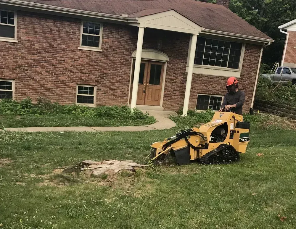 A person in safety gear operates a yellow stump grinder on a lawn in front of a brick house.