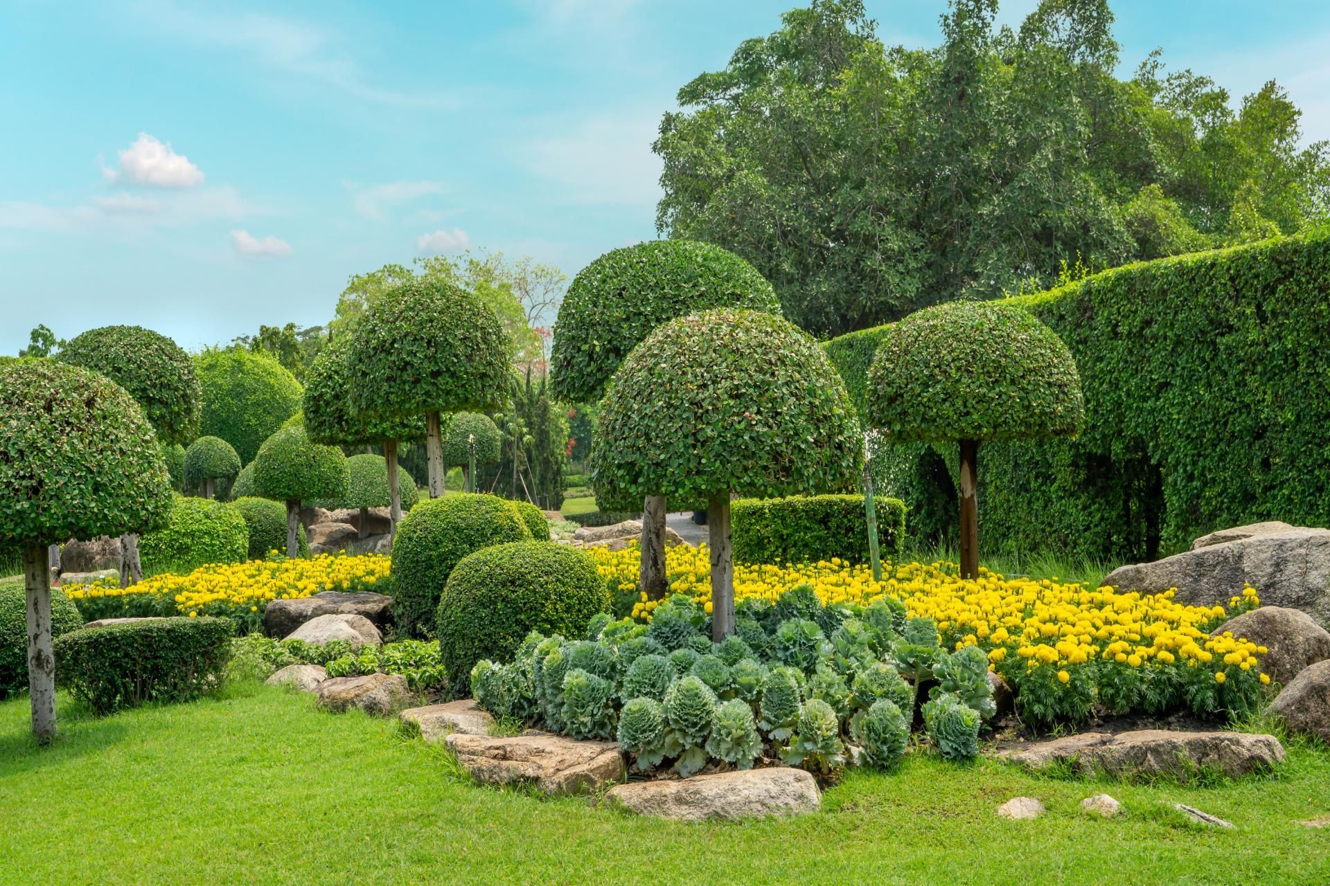 A manicured garden featuring spherical topiary trees, rounded shrubs, and a vibrant bed of yellow flowers on a lawn.