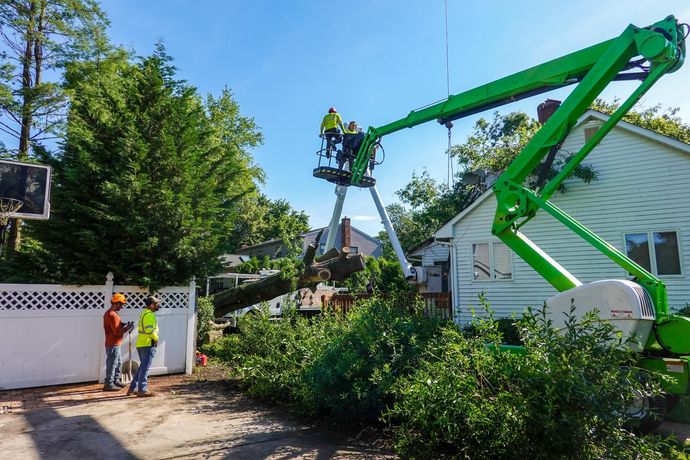 Workers in a bright green aerial lift trim a large tree near a house, while two crew members watch from the ground.