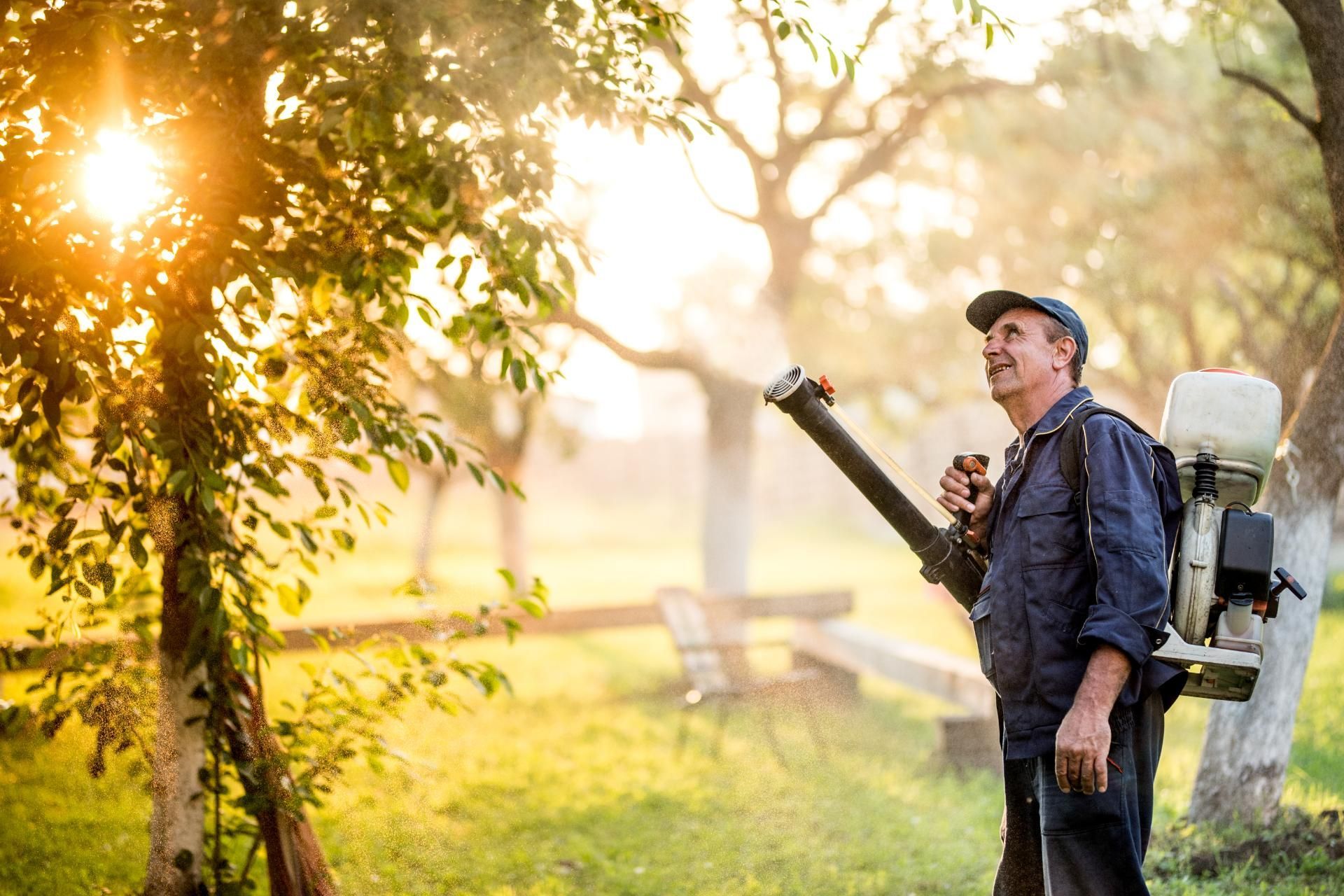 A person uses a backpack sprayer to mist a tree in a sunlit orchard.