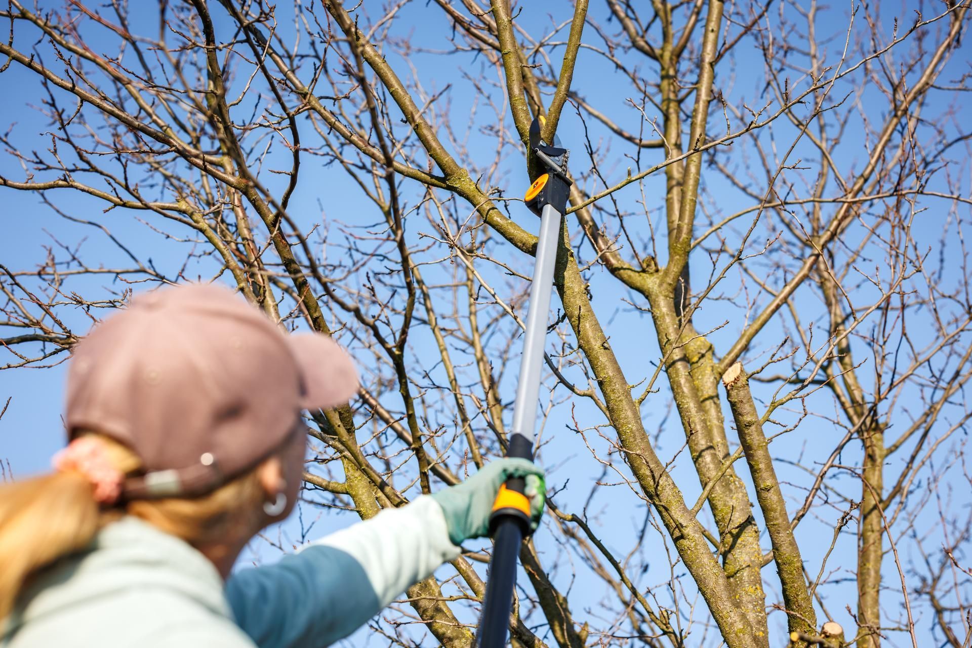 A person wearing a hat and gloves uses a pole pruner to trim branches on a leafless tree against a clear blue sky.