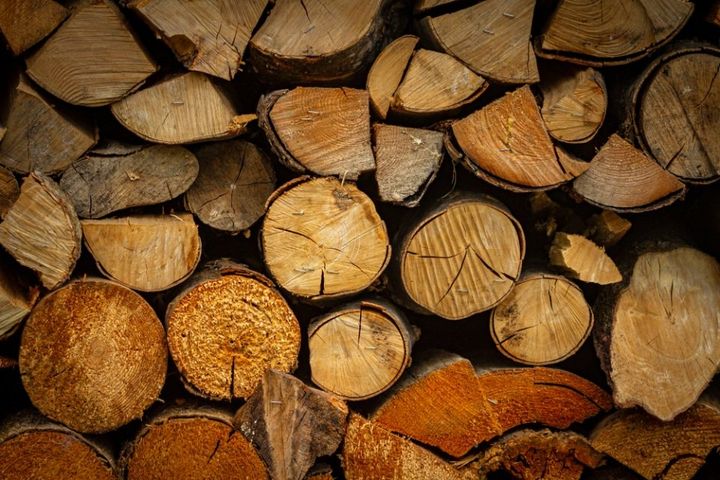 legno essiccato