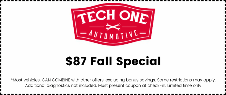 Fall Special