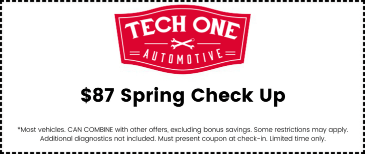 Spring Check Up Special