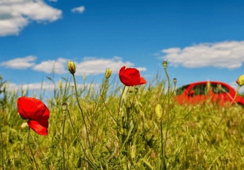Avoid an Unlucky Breakdown with Smart Spring Car Maintenance