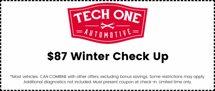 Winter Check Up Special