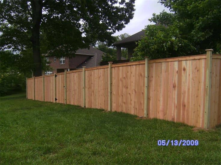 Large Trees With Backyard Fence — Madison, TN — Music City Fence Company