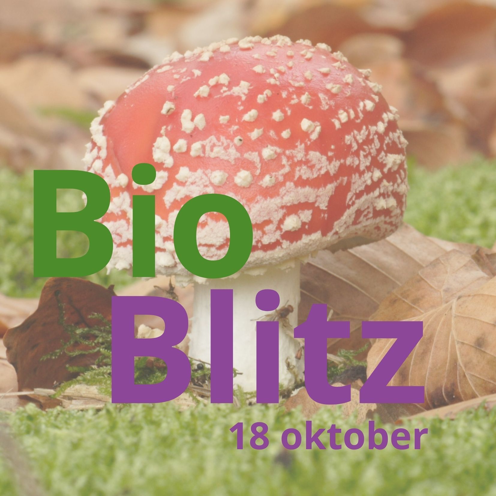 BIOBLITZ