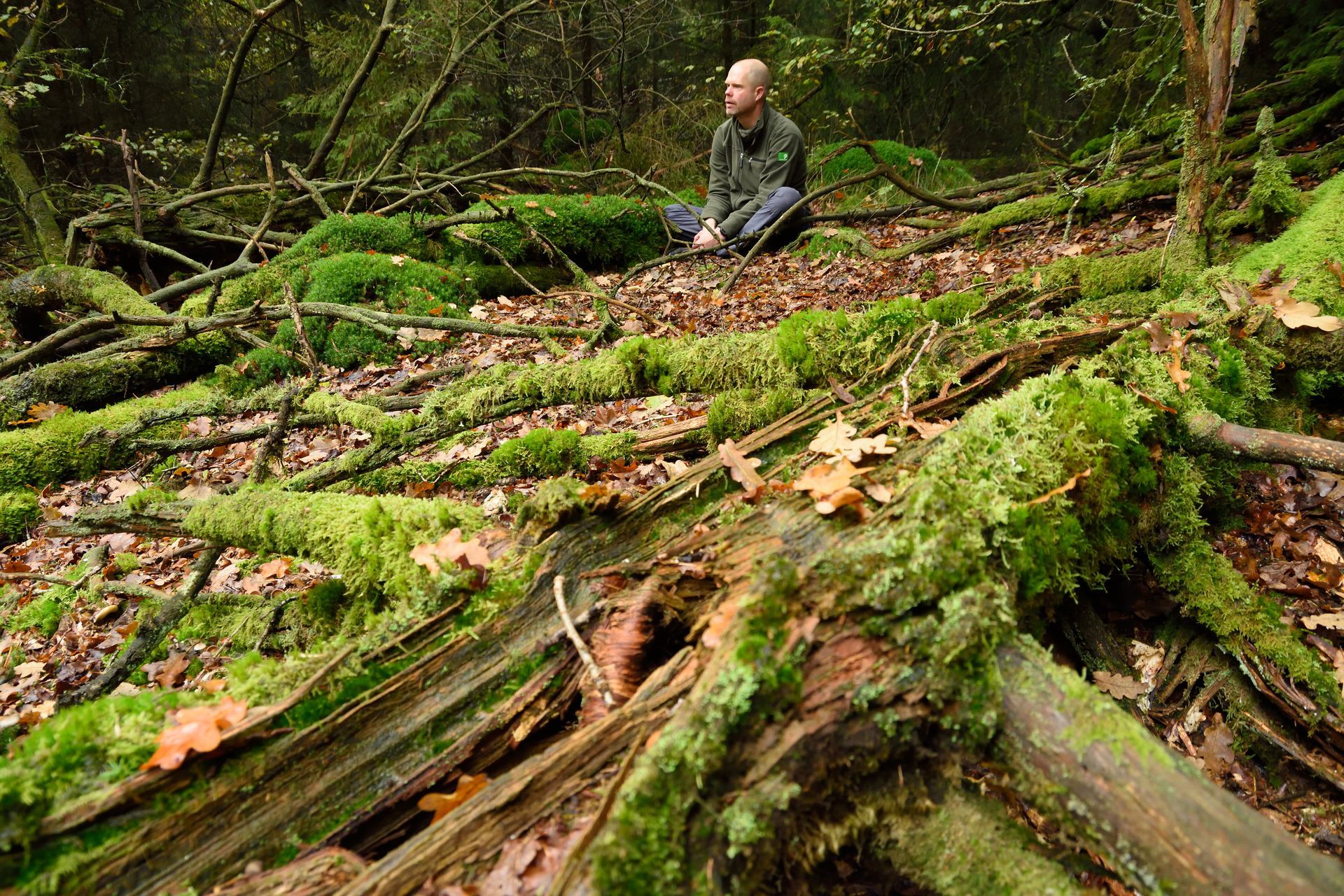 Zintuigenwandeling