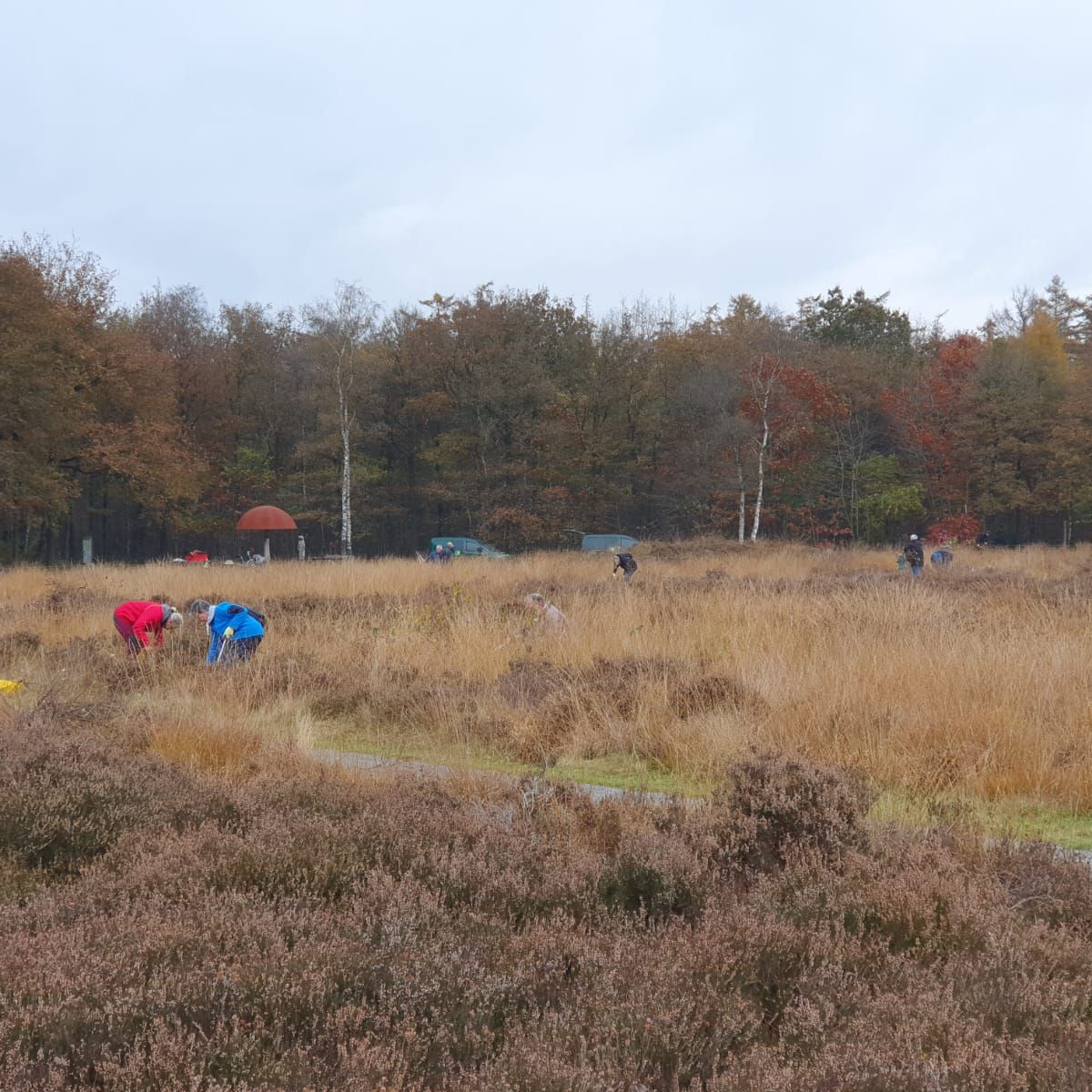 Natuurwerkdag