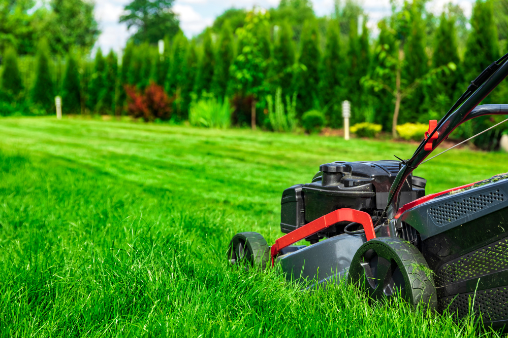 A lawn mower is cutting a lush green lawn.