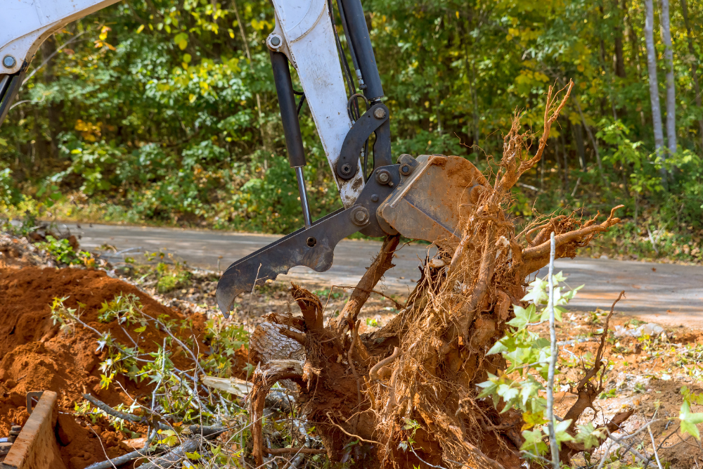 A large tree stump is being removed by an excavator.