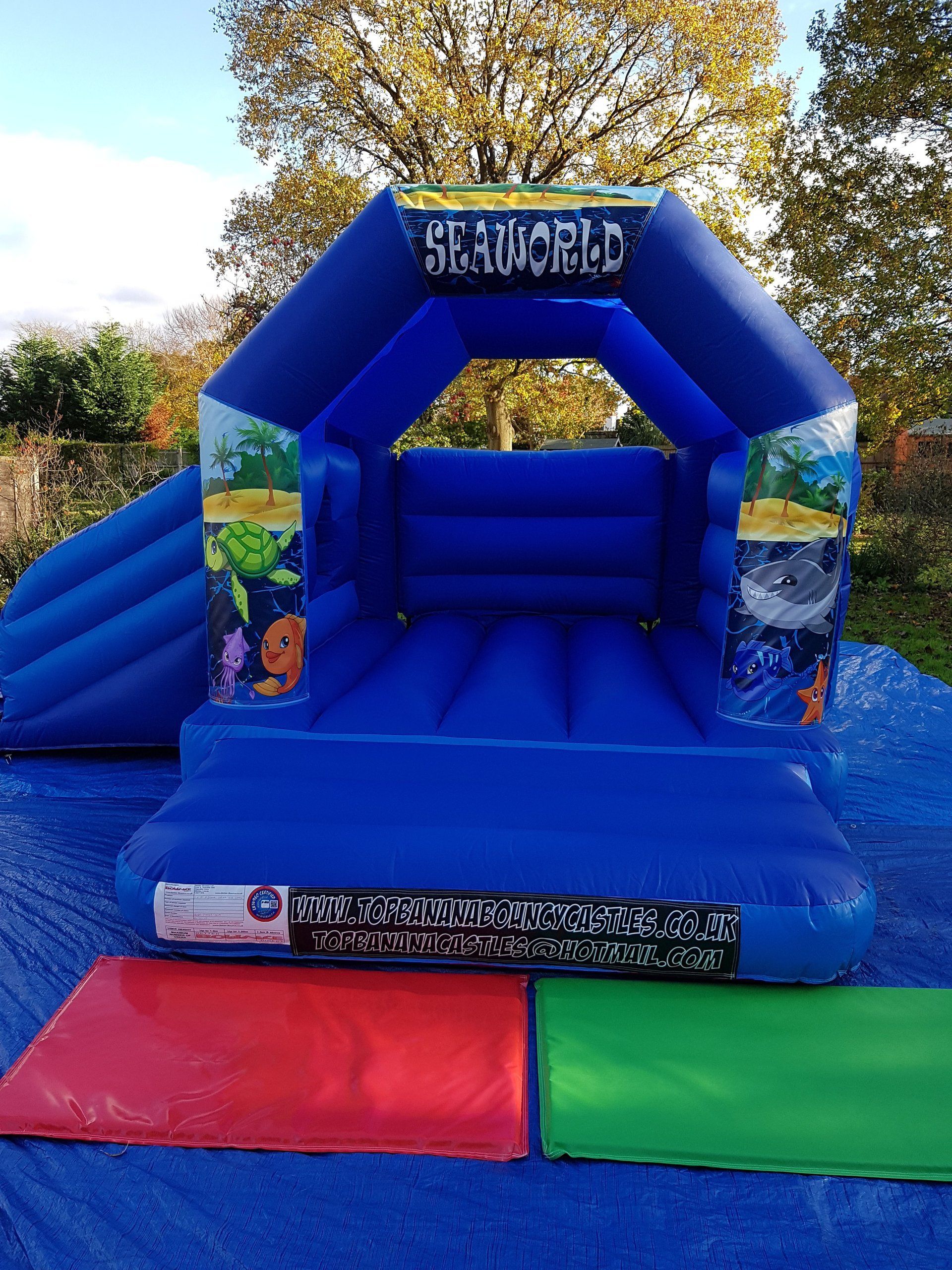 slide combo bouncy castle with seaworld theme