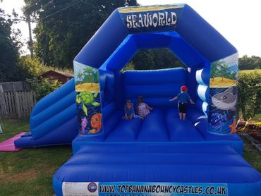 Seaworld bouncy castle