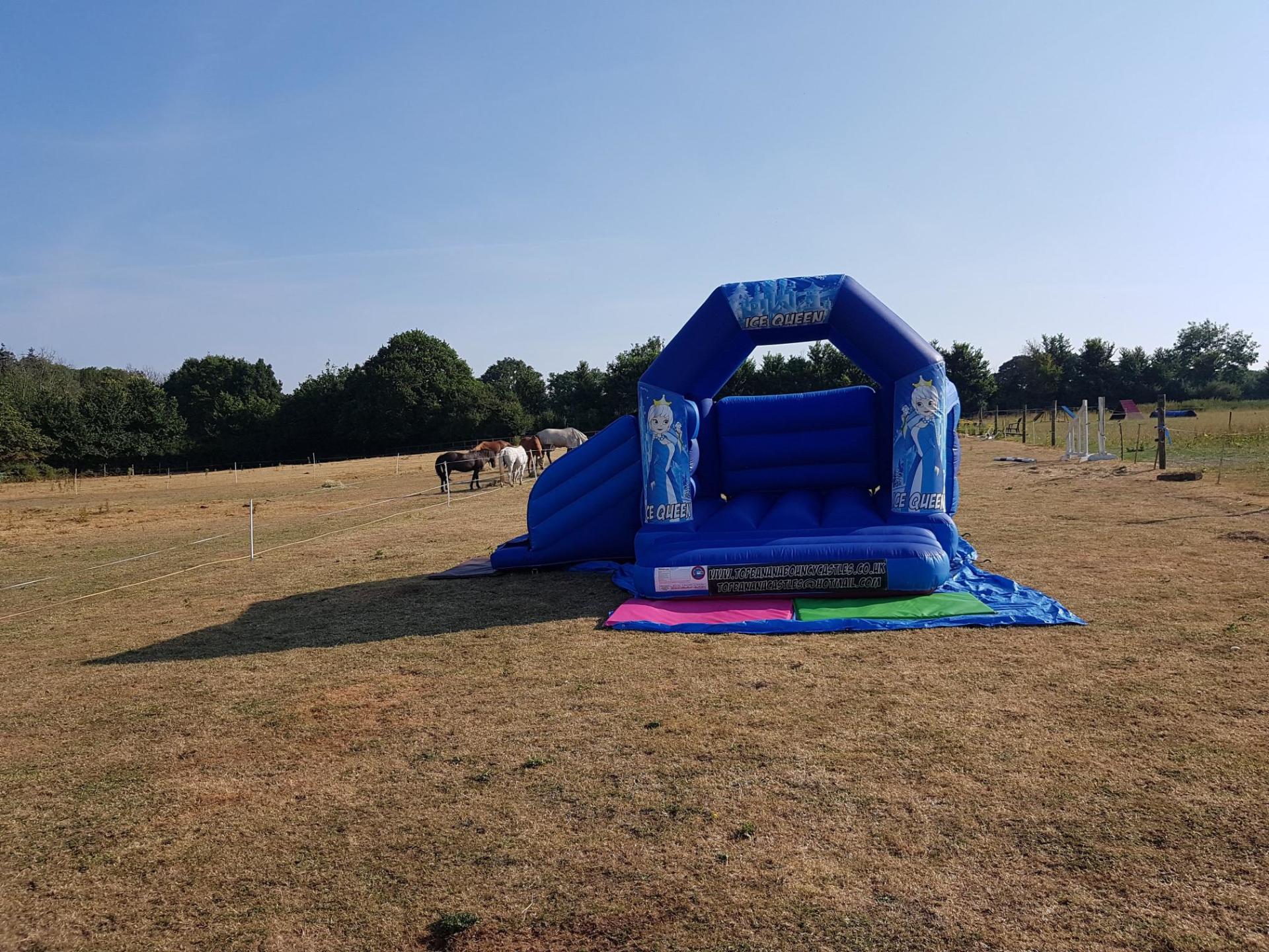 slide combo bouncy castle with snow queen theme in a field