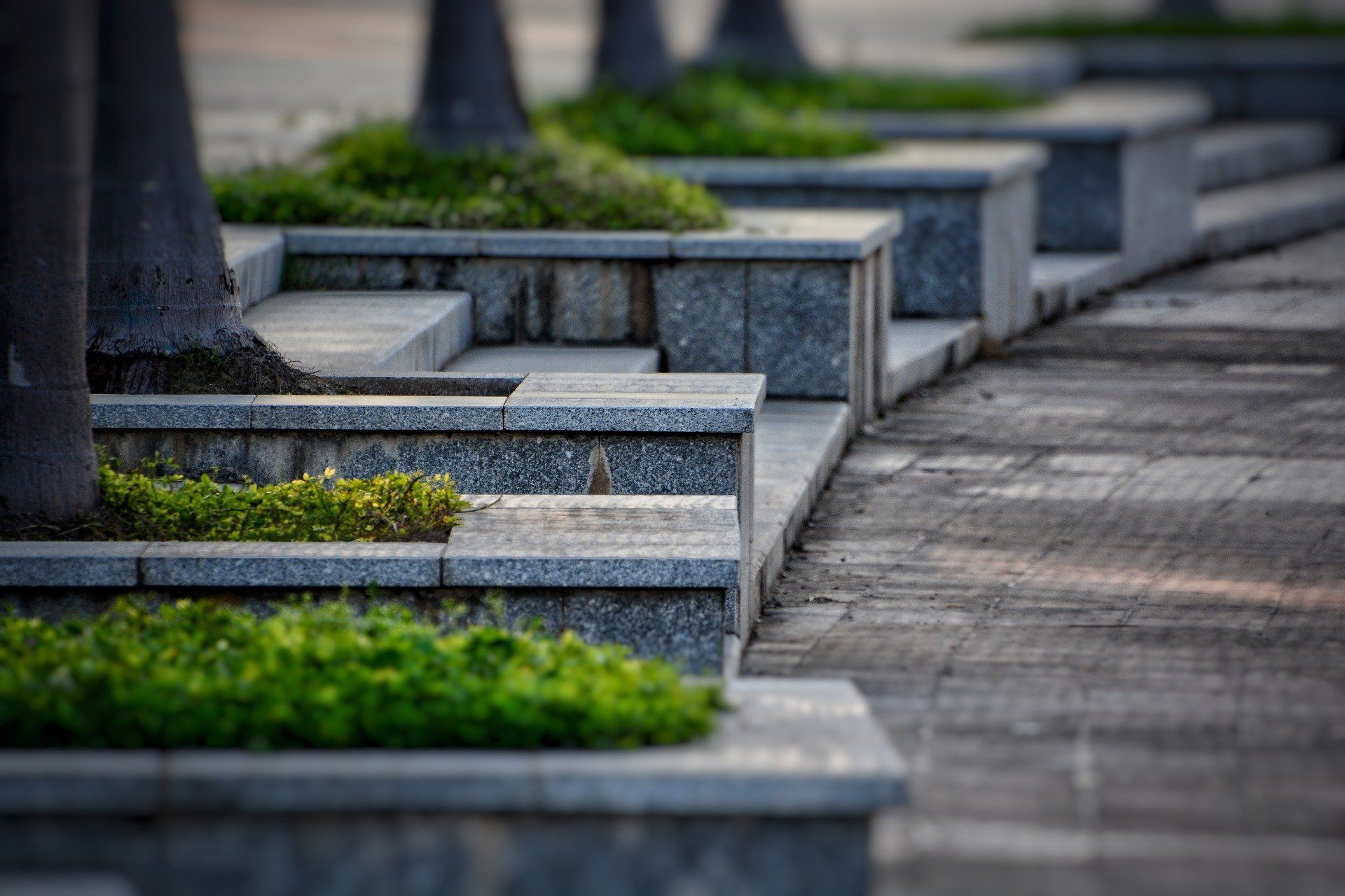 White House with a lush green lawn and staircase adorned with vibrant plants.