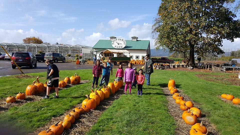 A group of people are standing in a field of pumpkins.