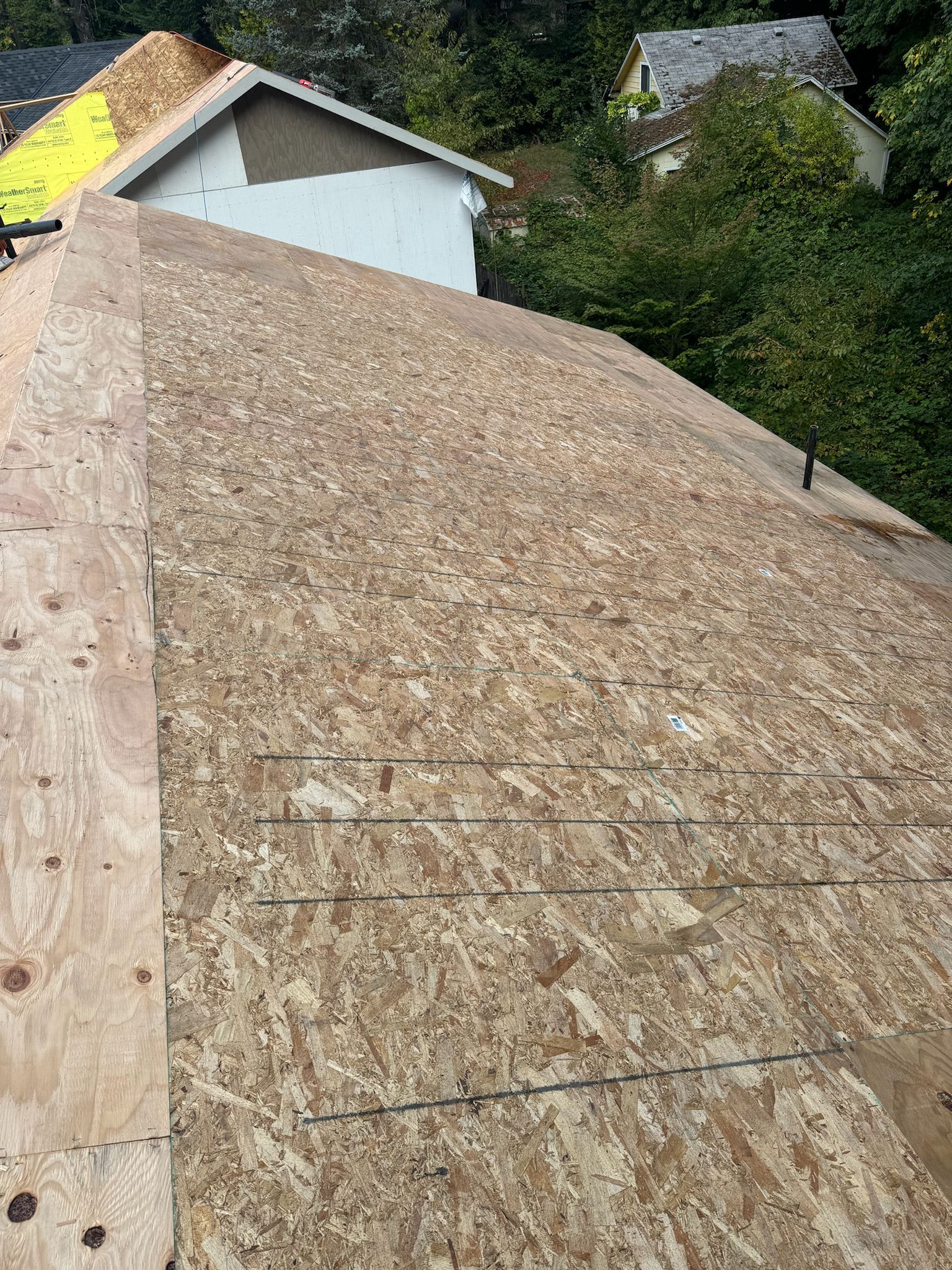 Rooftop covered with oriented strand board (OSB). Houses and trees are in the background on a sunny day.