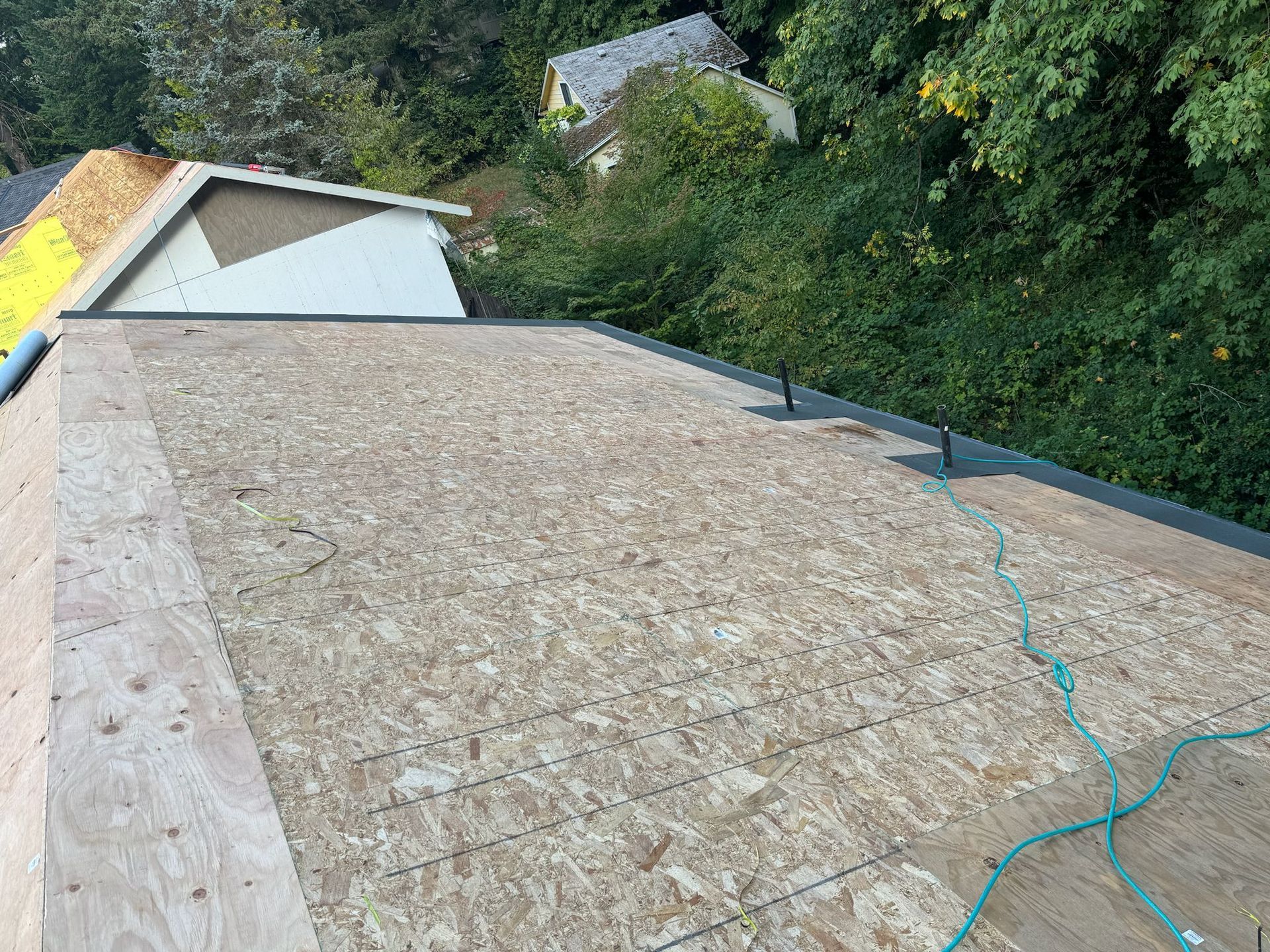 Flat roof with exposed plywood. Green foliage and other rooftops are in the background. Blue wire runs across the roof.