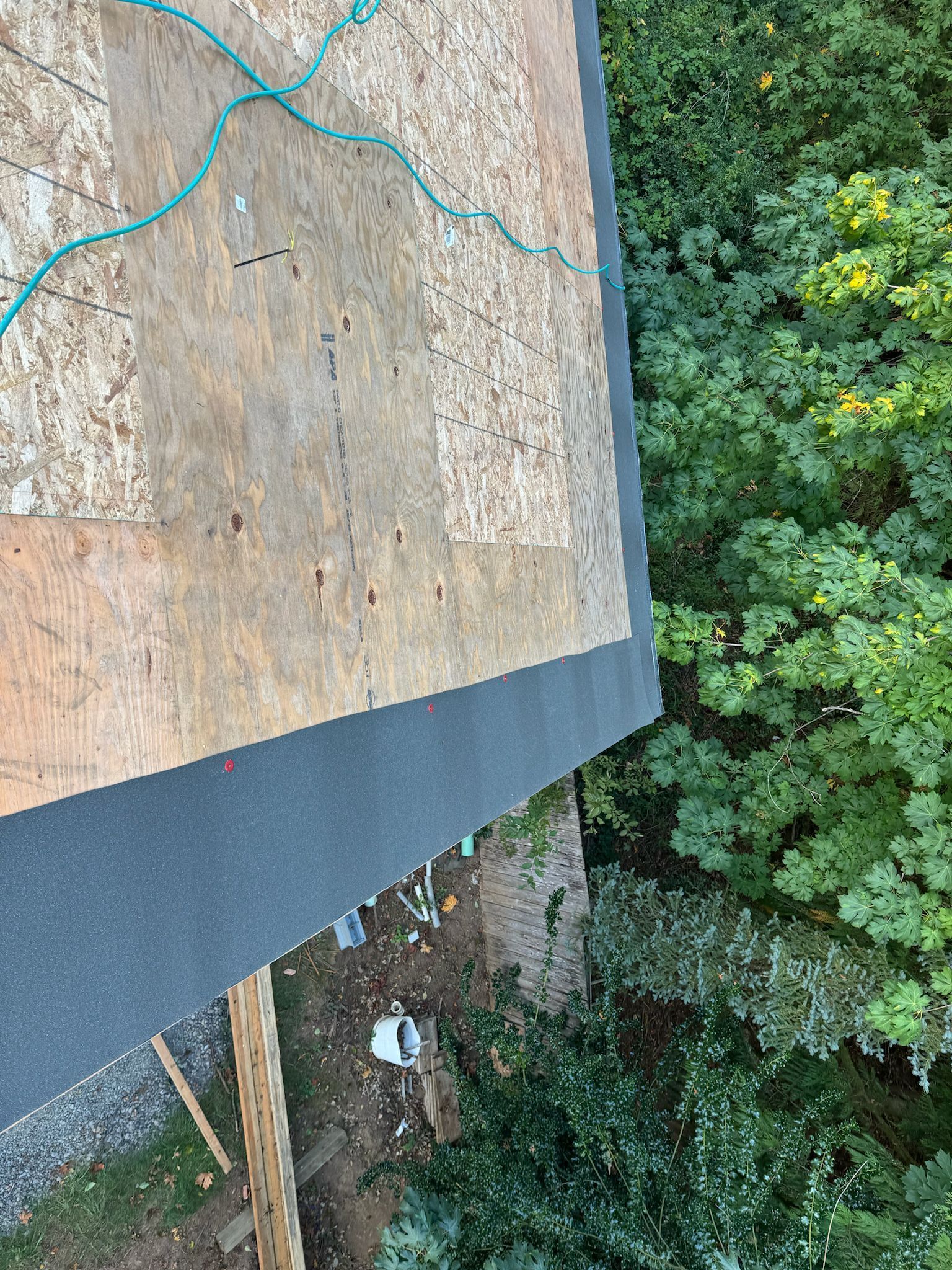 Overhead view of a roof edge with black trim, exposed wood, and green trees.