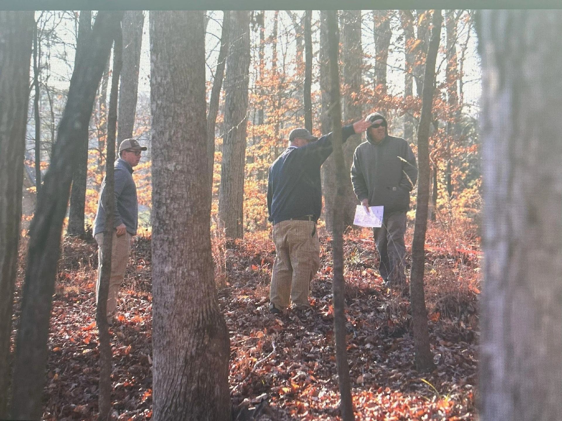 Three people stand in a sunlit, leaf-covered forest, with one individual pointing at trees while holding papers.